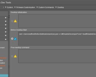 Enable Developer Function in Firefox on IGEL OS
